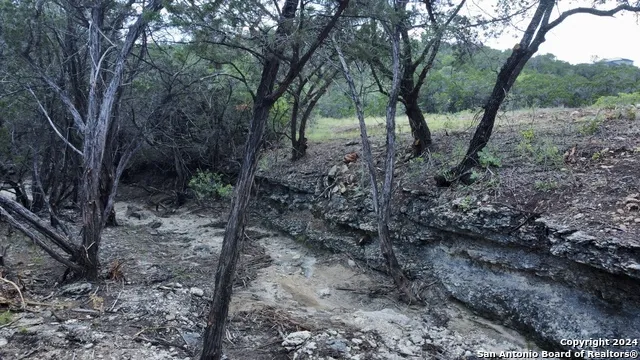 245 Sydney Springs Helotes, TX 78023