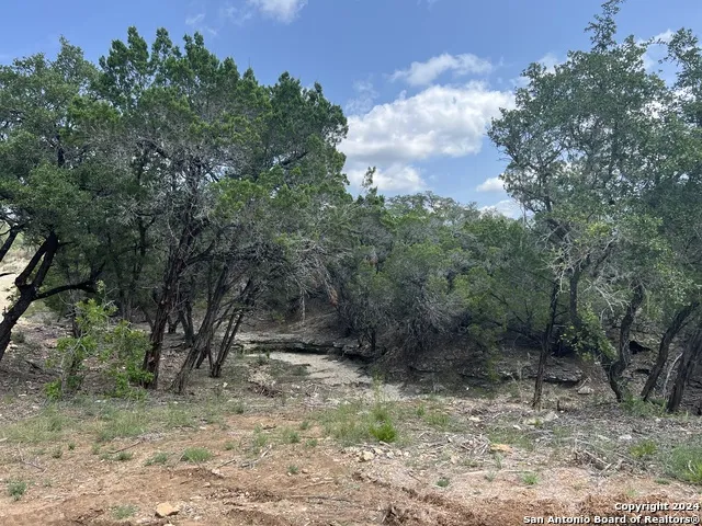 245 Sydney Springs Helotes, TX 78023