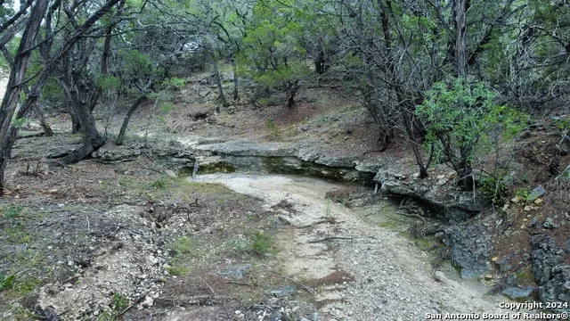 245 Sydney Springs Helotes, TX 78023