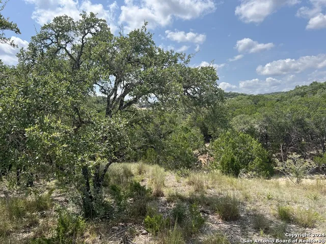 245 Sydney Springs Helotes, TX 78023