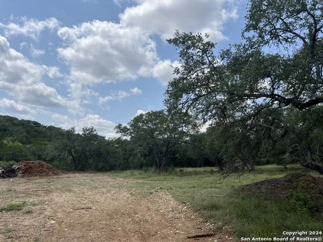 245 Sydney Springs Helotes, TX 78023