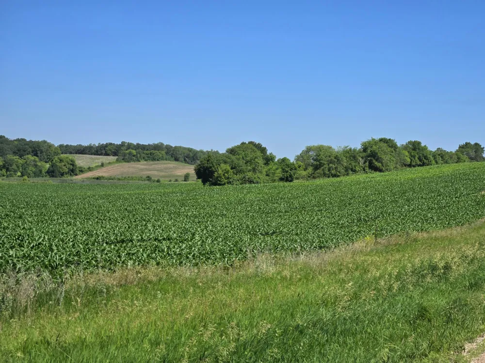 TBD County Hwy 83 Battle Lake, MN 56515