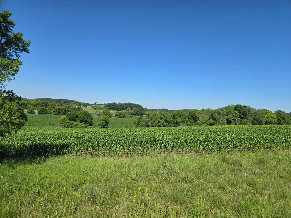 TBD County Hwy 83 Battle Lake, MN 56515