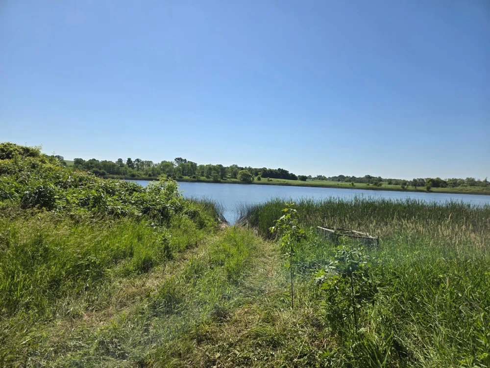TBD County Hwy 83 Battle Lake, MN 56515