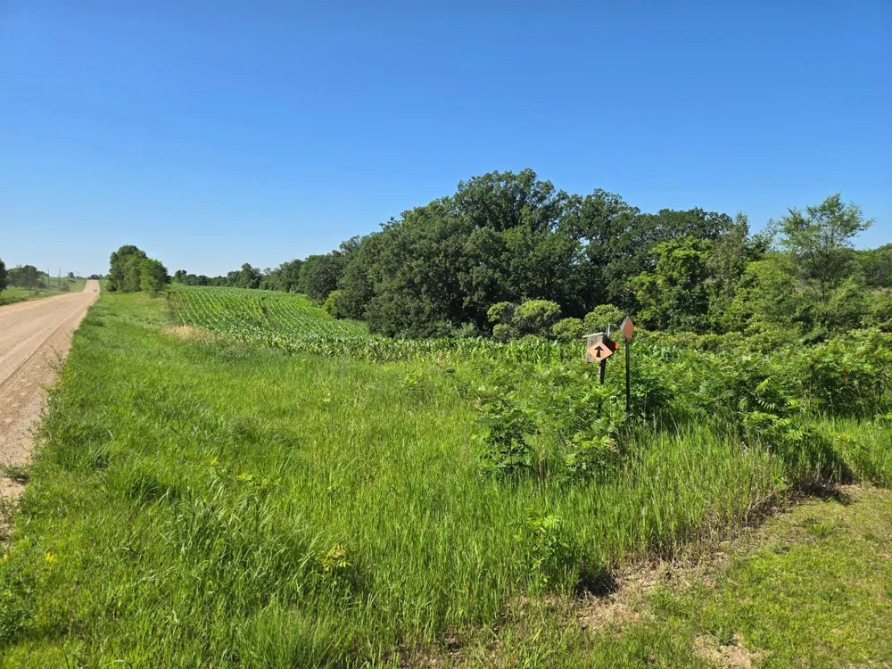 TBD County Hwy 83 Battle Lake, MN 56515