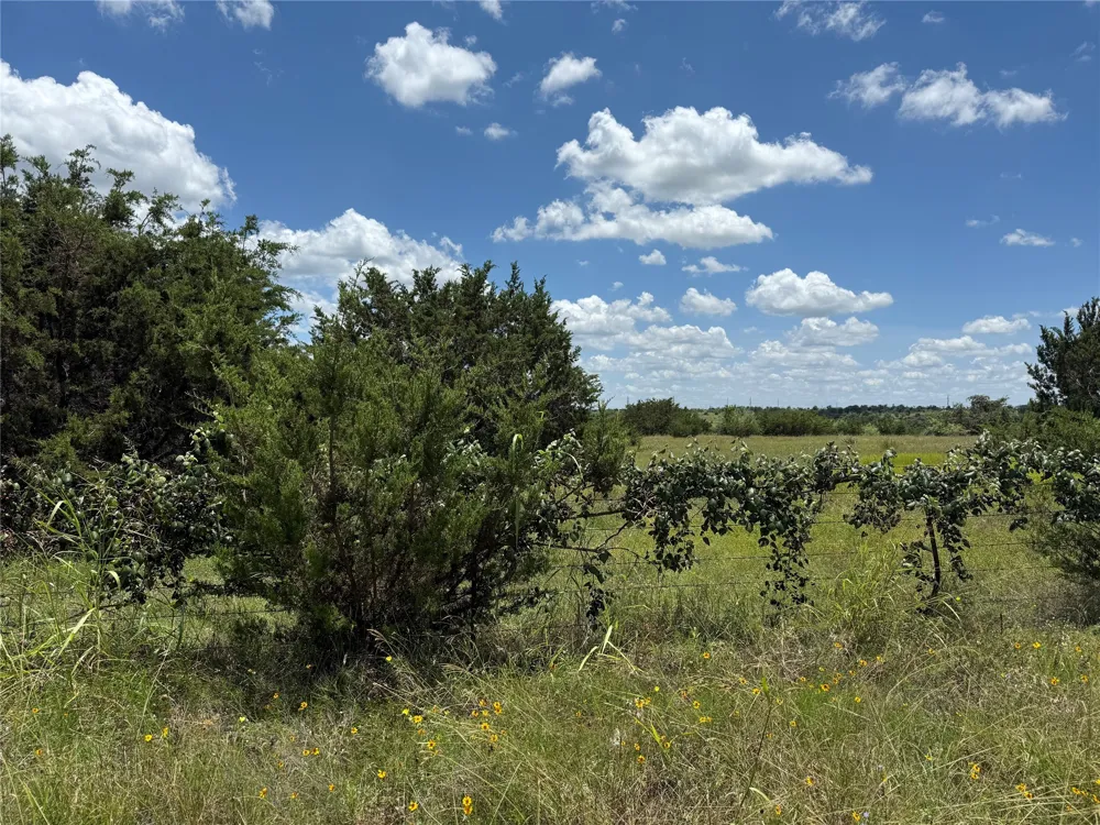 Private Road 1743B Clifton, TX 76634