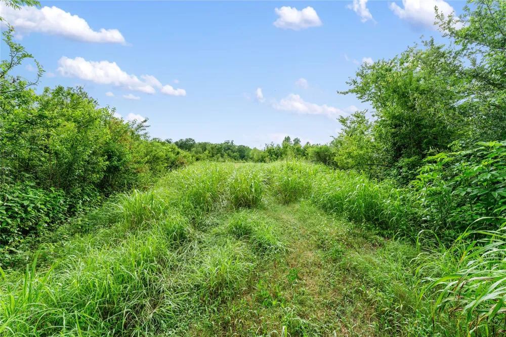 Cr 135 Wharton, TX 77488