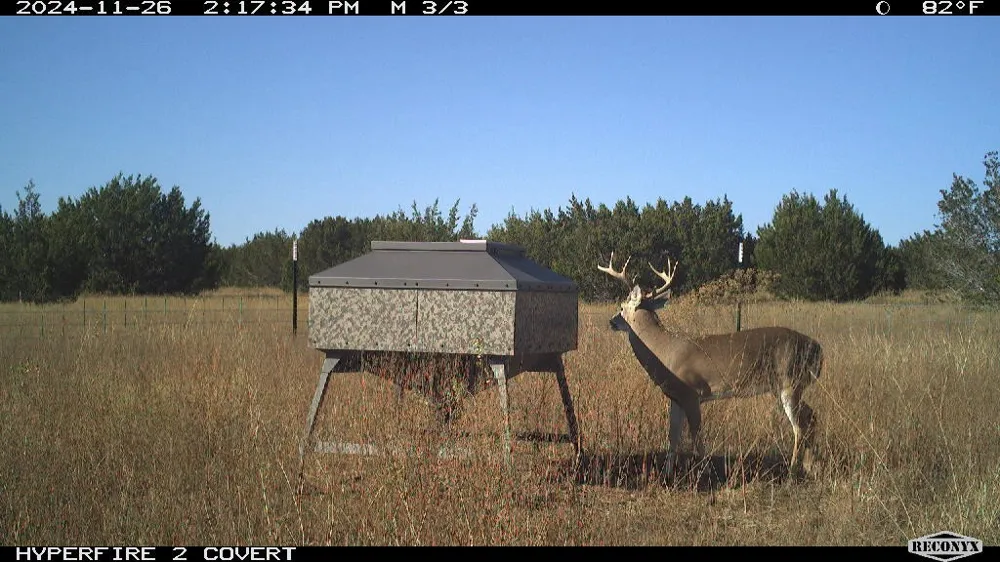 11439 Fm 1602 Jonesboro, TX 76538