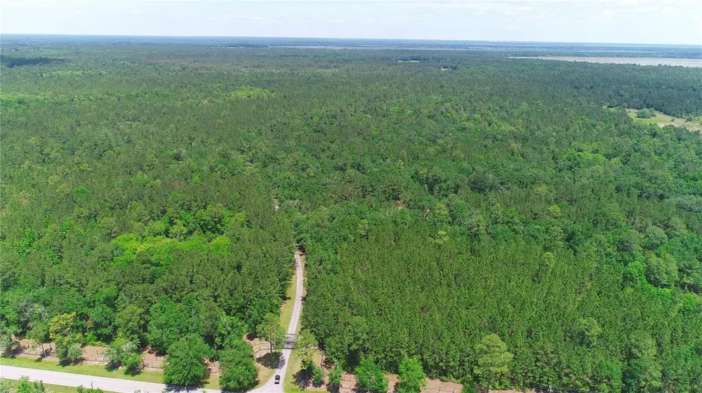 15305 NW HWY 320 Micanopy, FL 32667
