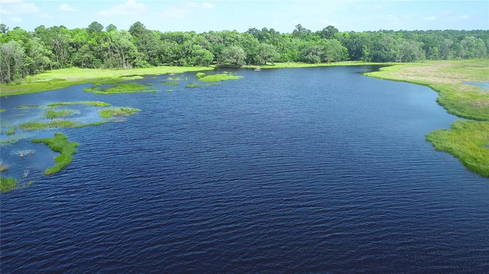 15305 NW HWY 320 Micanopy, FL 32667