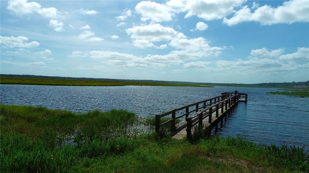 15305 NW HWY 320 Micanopy, FL 32667