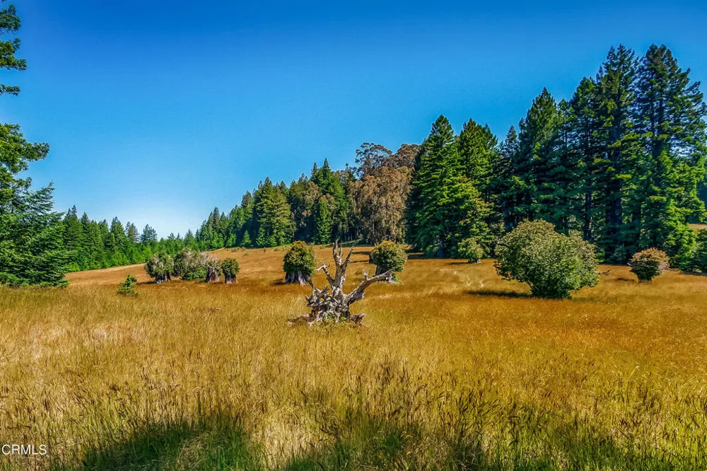 2401 S Highway 1 Elk, CA 95432