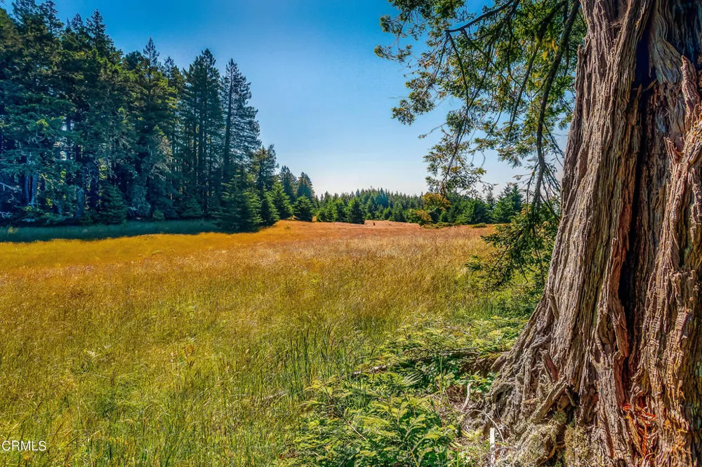 2401 S Highway 1 Elk, CA 95432