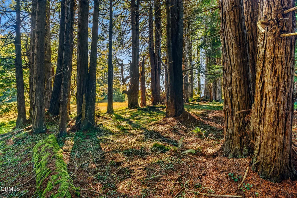 2401 S Highway 1 Elk, CA 95432