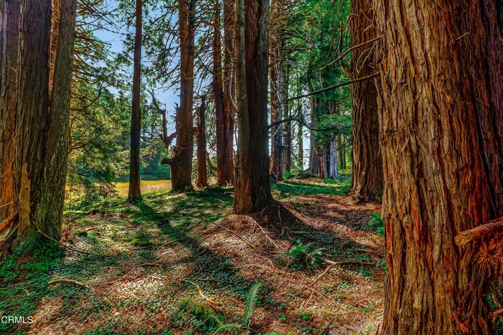 2401 S Highway 1 Elk, CA 95432
