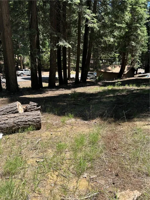 631 Cedar Canyon Road