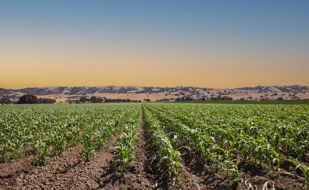 Crews Road Gilroy, CA 95020