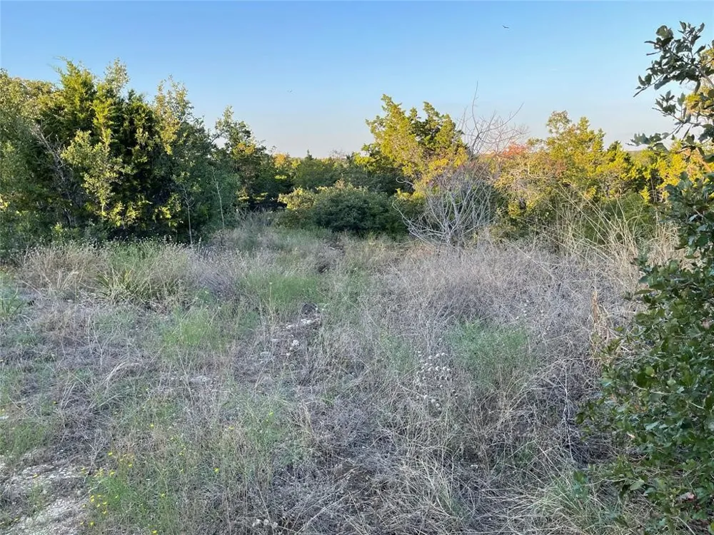 14602 Rock Cliff Cove Leander, TX 78641