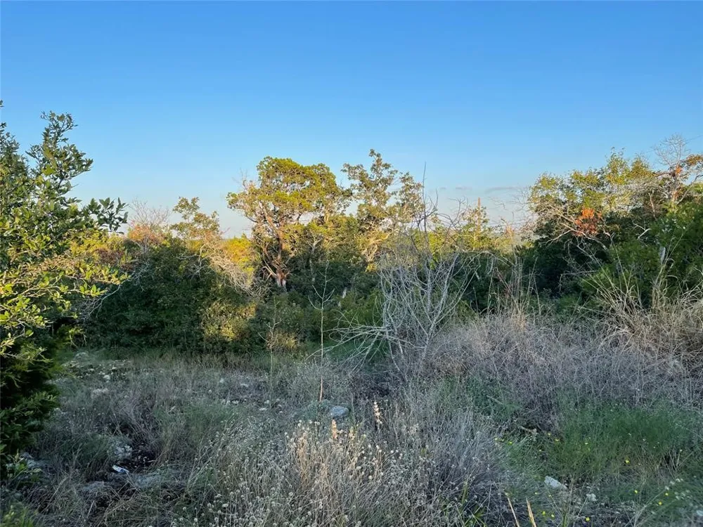 14602 Rock Cliff Cove Leander, TX 78641