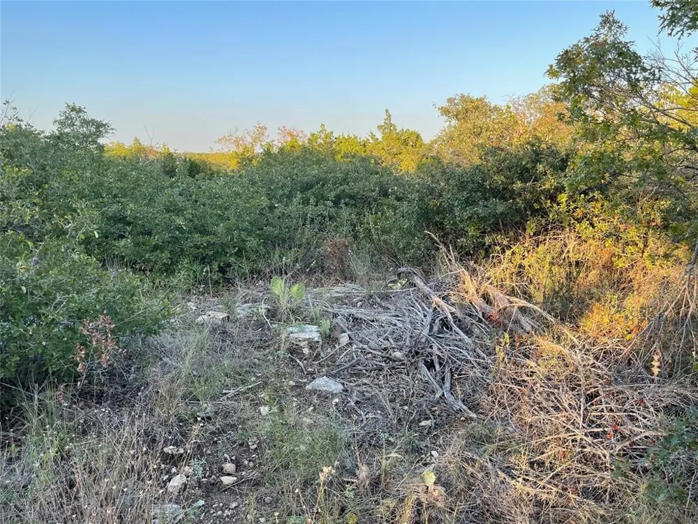 14602 Rock Cliff Cove Leander, TX 78641
