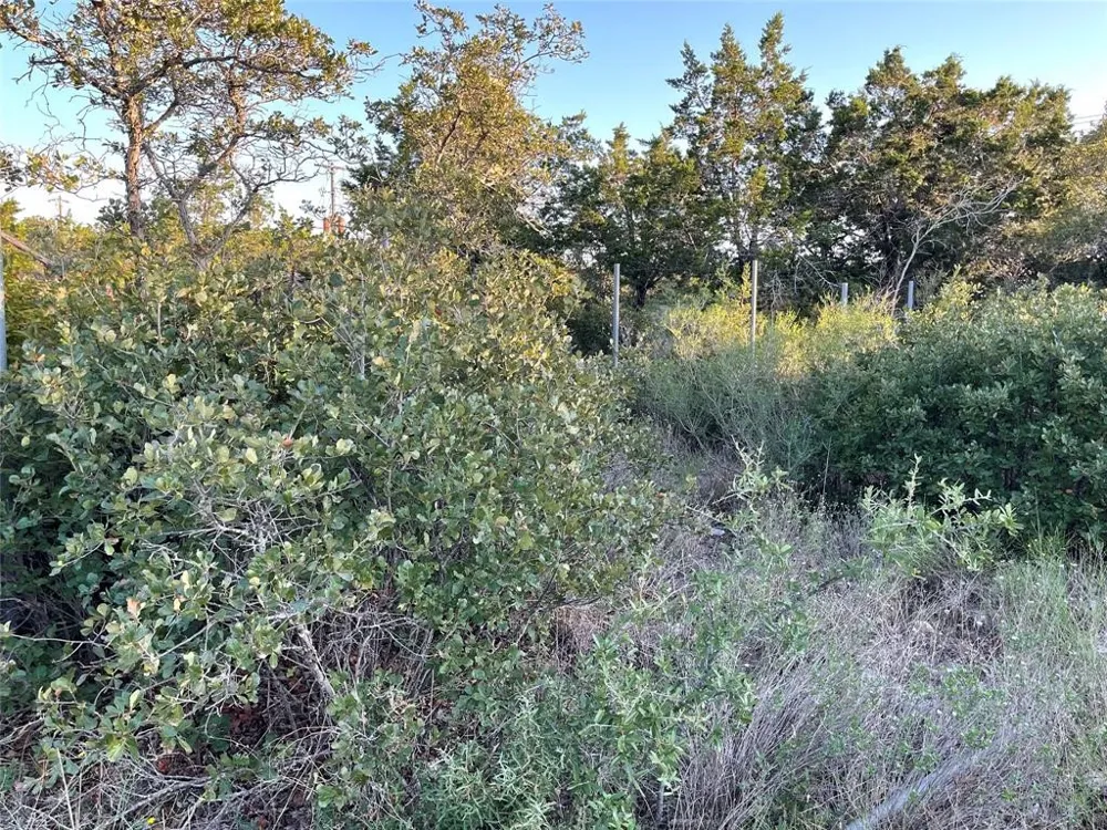 14602 Rock Cliff Cove Leander, TX 78641