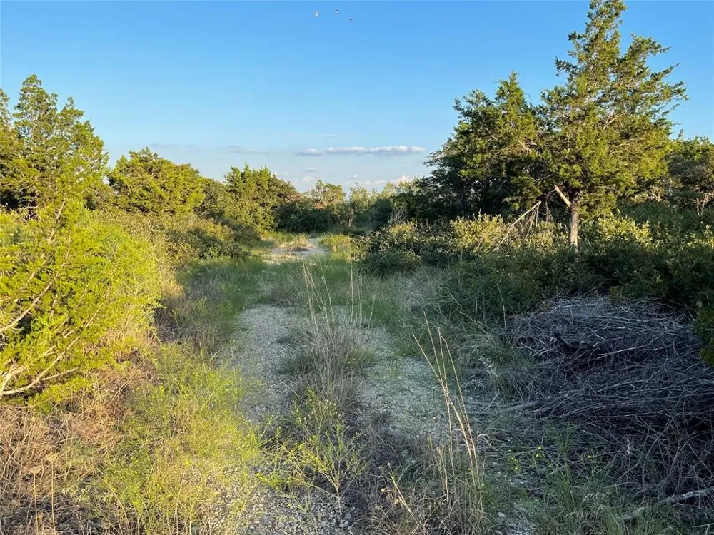 14602 Rock Cliff Cove Leander, TX 78641