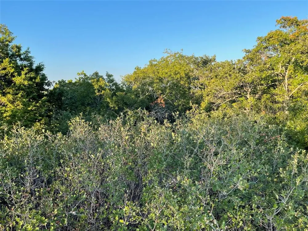14602 Rock Cliff Cove Leander, TX 78641