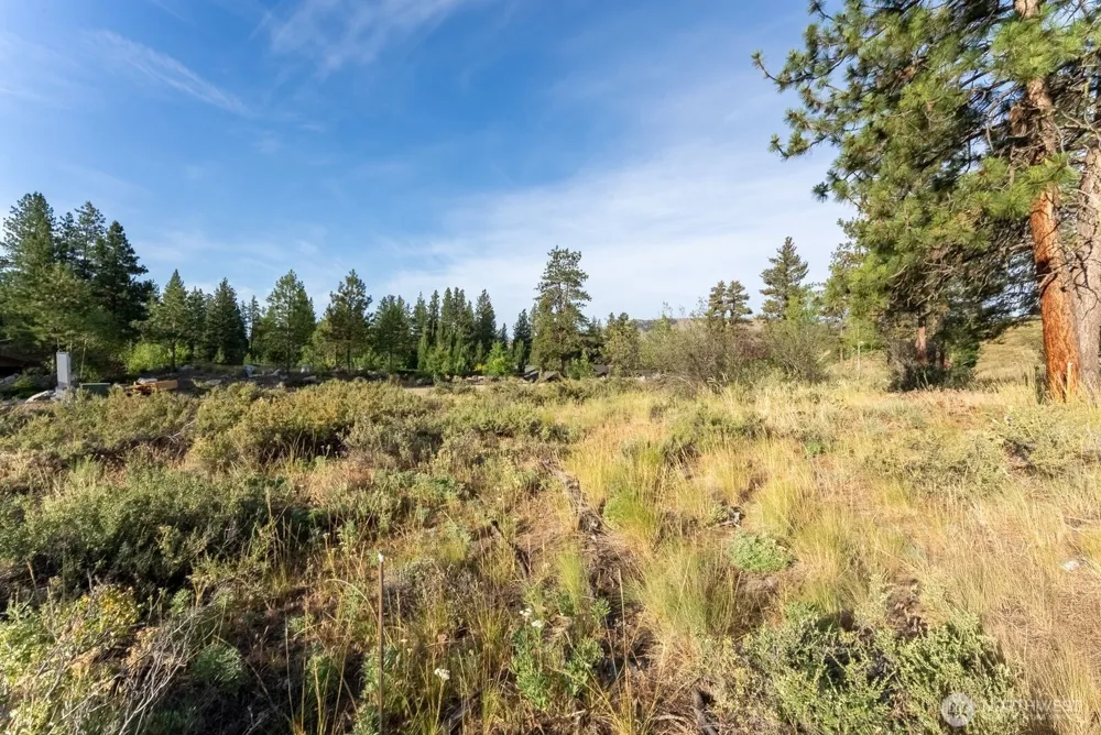 615 Pine Loop Winthrop, WA 98862
