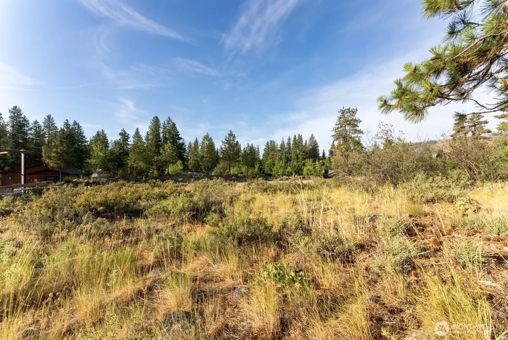 615 Pine Loop Winthrop, WA 98862