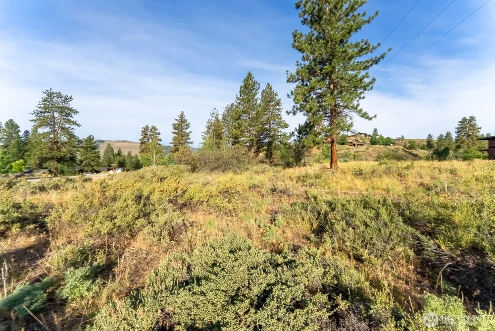 615 Pine Loop Winthrop, WA 98862