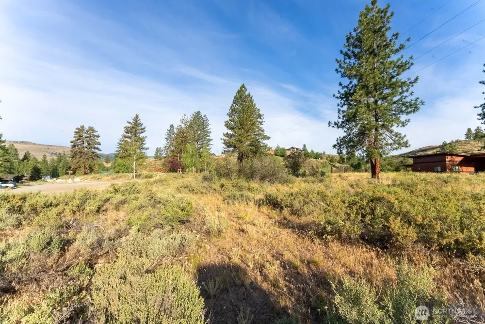 615 Pine Loop Winthrop, WA 98862