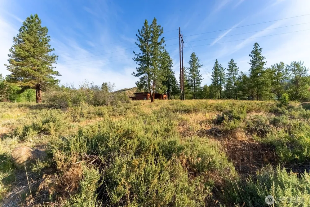 615 Pine Loop Winthrop, WA 98862