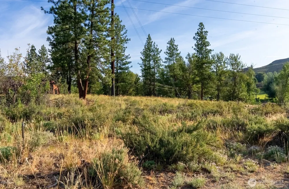 615 Pine Loop Winthrop, WA 98862