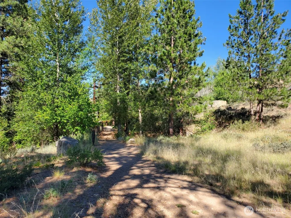 615 Pine Loop Winthrop, WA 98862