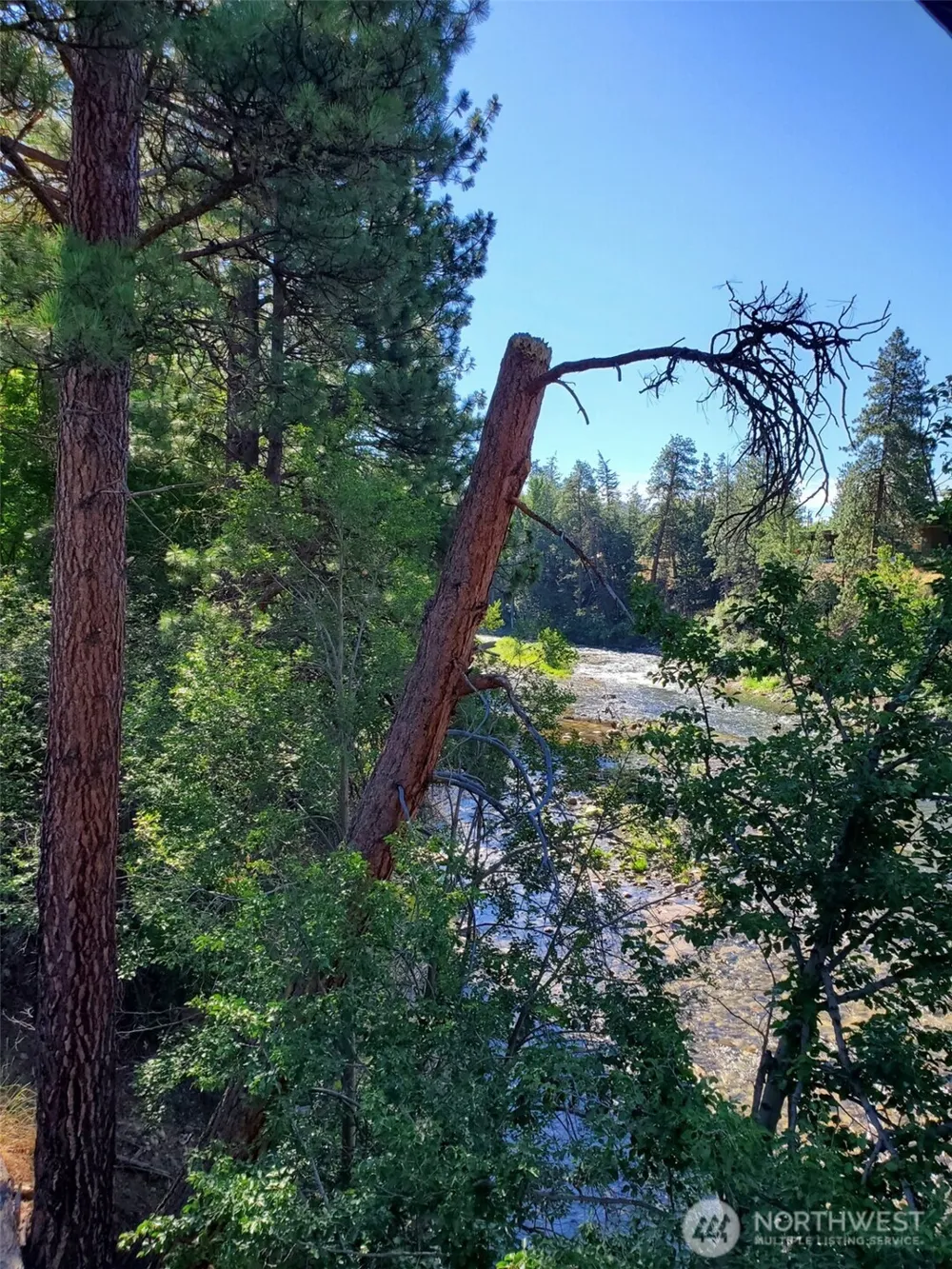 615 Pine Loop Winthrop, WA 98862