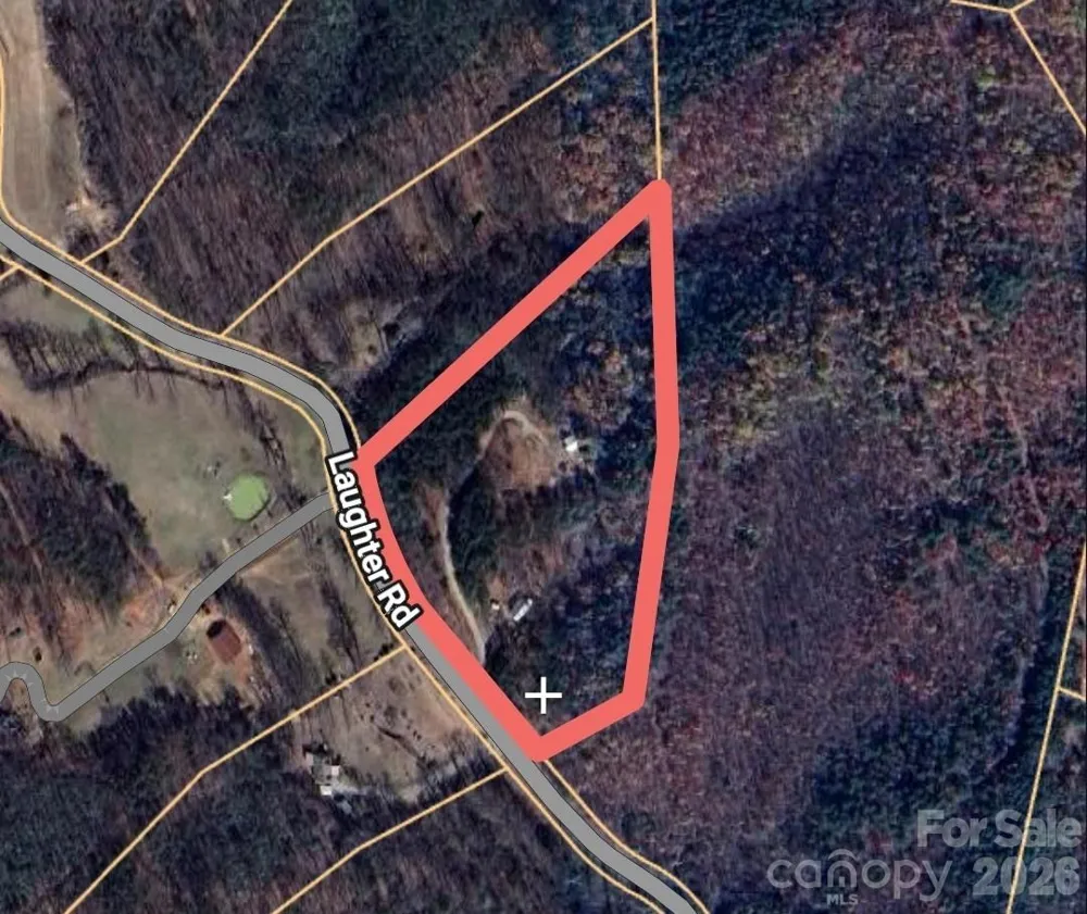 1318 Laughter Road Mill Spring, NC 28756