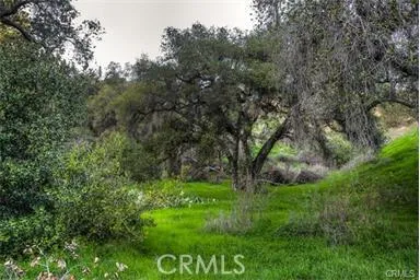 682 Deodar Lane Bradbury, CA 91008