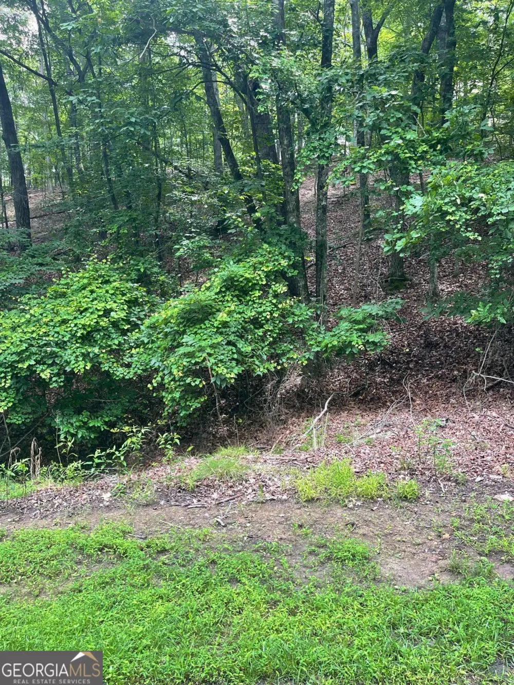 118 MORNING STAR DR Waleska, GA 30183