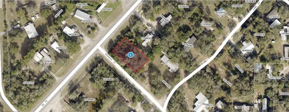 E ORANGE AVENUE Eustis, FL 32726