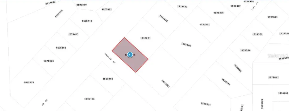 E ORANGE AVENUE Eustis, FL 32726