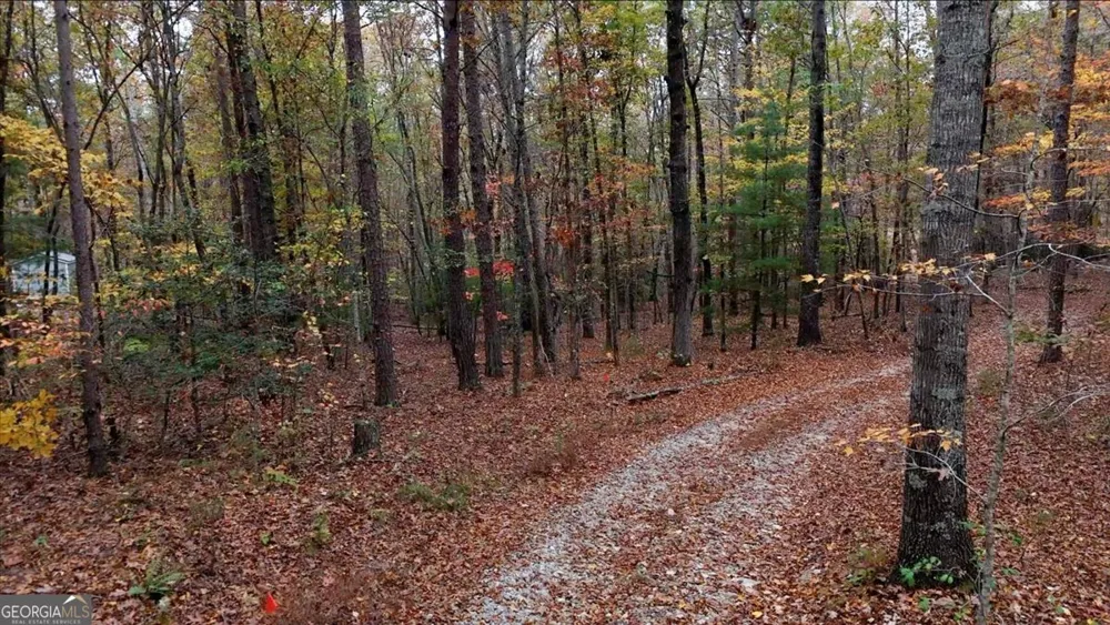 0 Rider RD Dawsonville, GA 30534