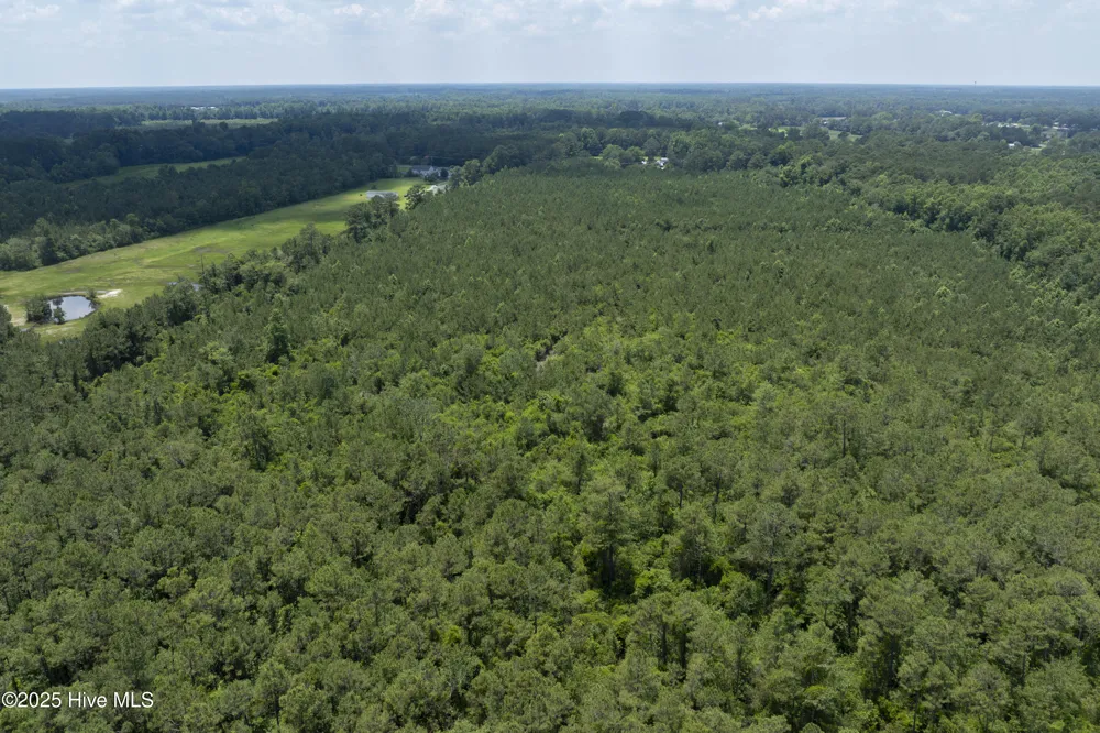 149 Futrell Road Richlands, NC 28574