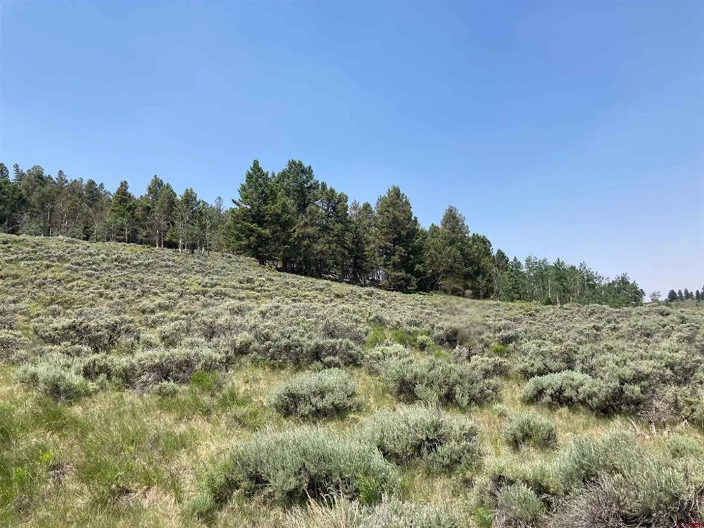 131 Mosquito Trail Powderhorn, CO 81243