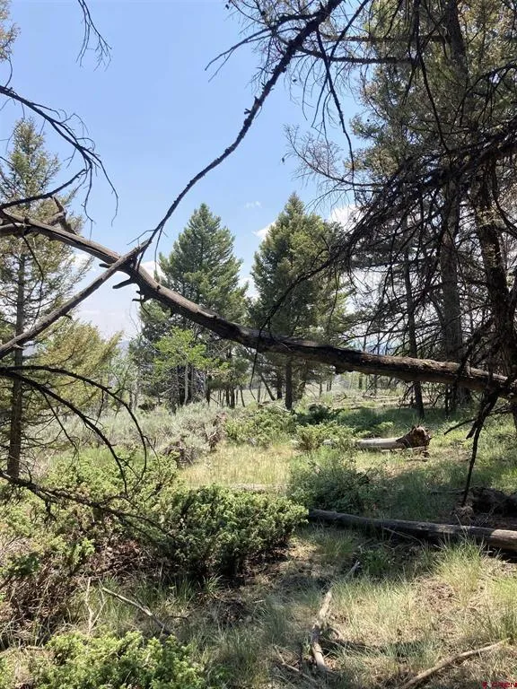 131 Mosquito Trail Powderhorn, CO 81243