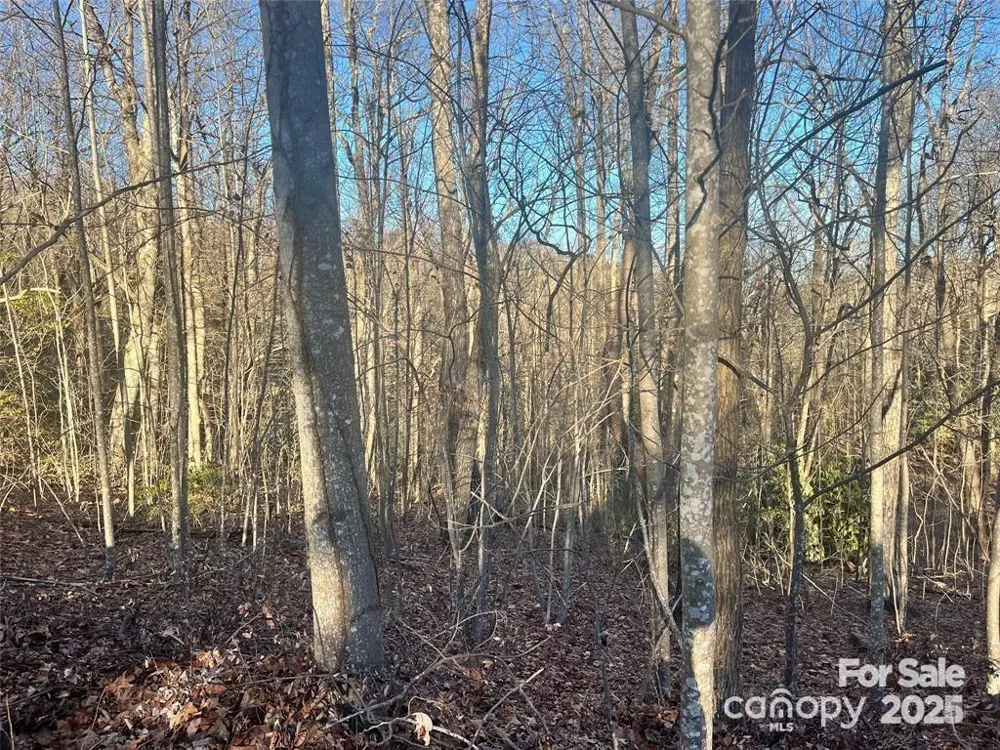 129 Pinnacle Peak Lane Flat Rock, NC 28731