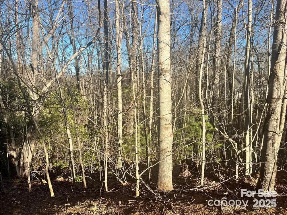 129 Pinnacle Peak Lane Flat Rock, NC 28731