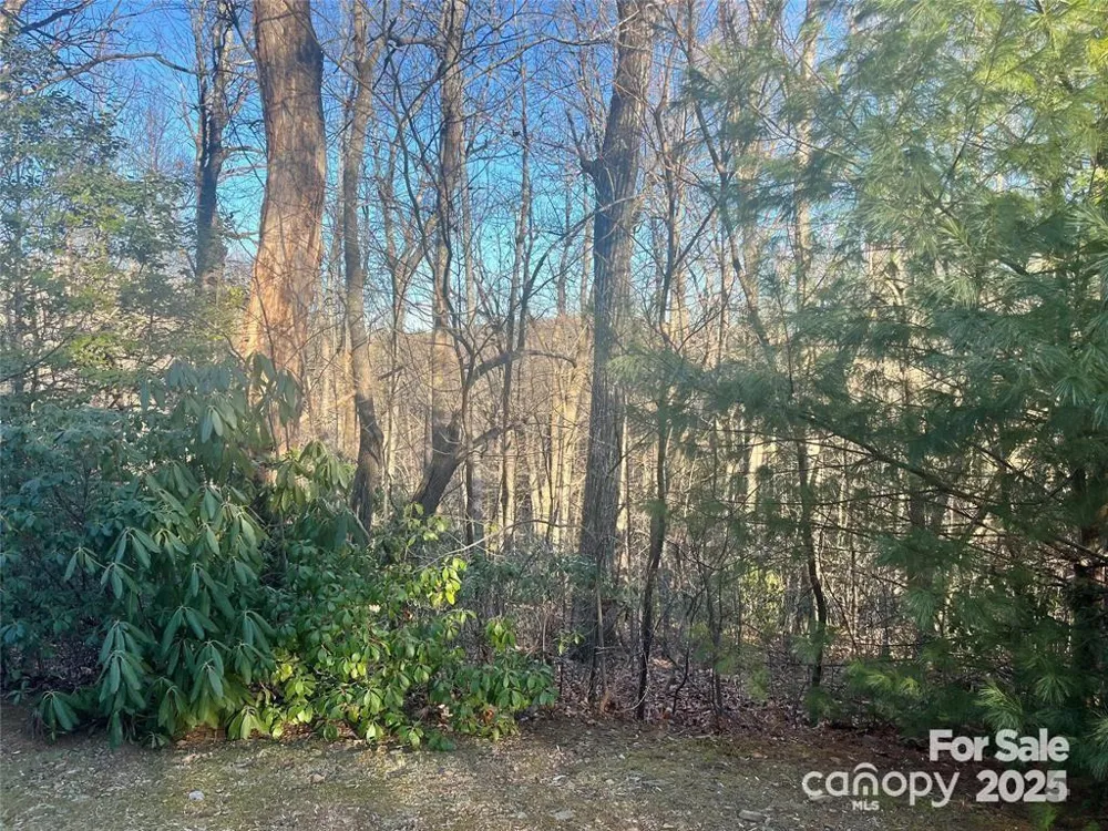 129 Pinnacle Peak Lane Flat Rock, NC 28731