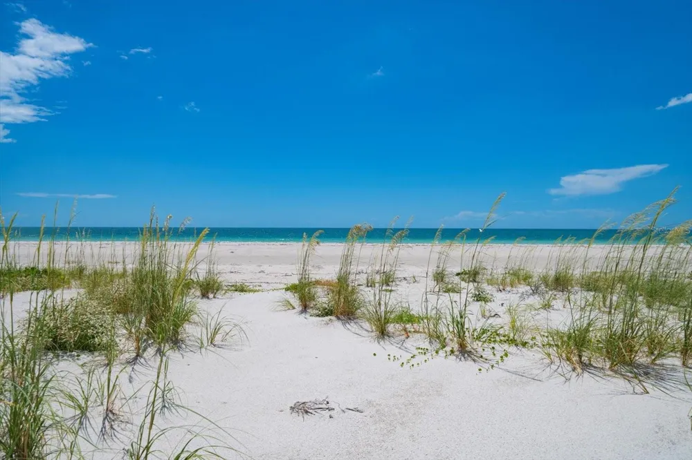 1114 MANDALAY POINT Clearwater Beach, FL 33767