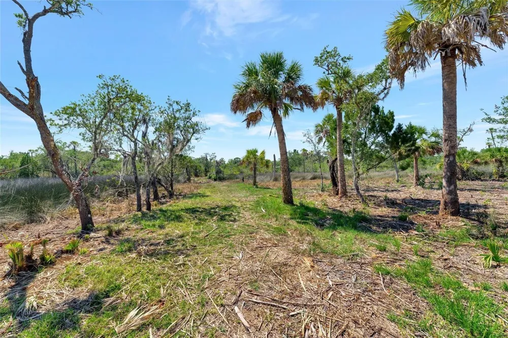 0 JAPONICA COURT New Port Richey, FL 34655