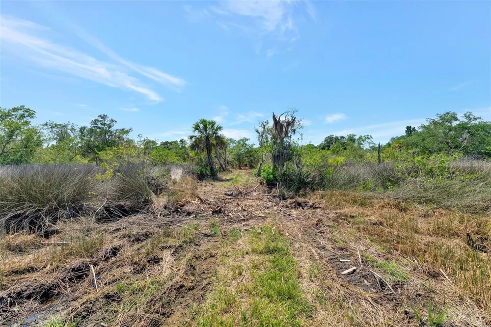 0 JAPONICA COURT New Port Richey, FL 34655